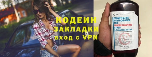СК Коряжма