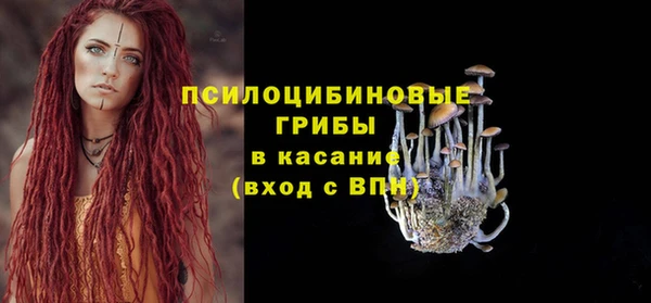 мет Корсаков