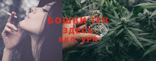 СК Коряжма