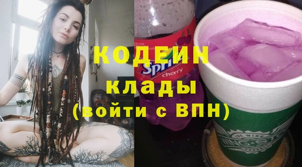 СК Коряжма