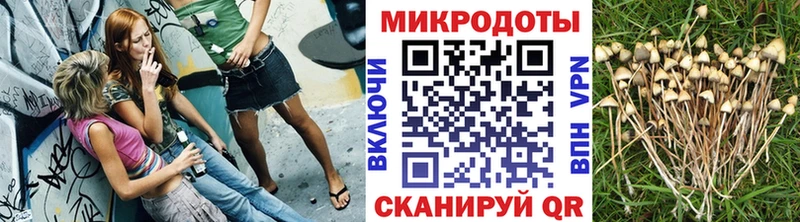 Купить закладки  Лаишево  Галлюциногенные грибы прущие грибы 